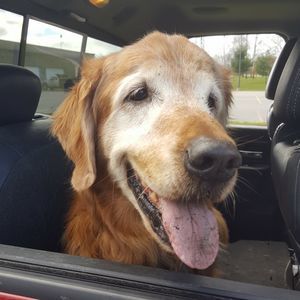 Meet your Posher, Angie